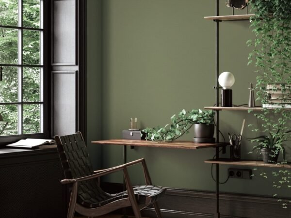 Dark Olive Plain Wallpaper Dubai