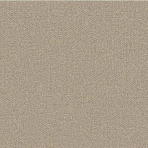 Studio Meridian — Modern Wallpaper Dubai