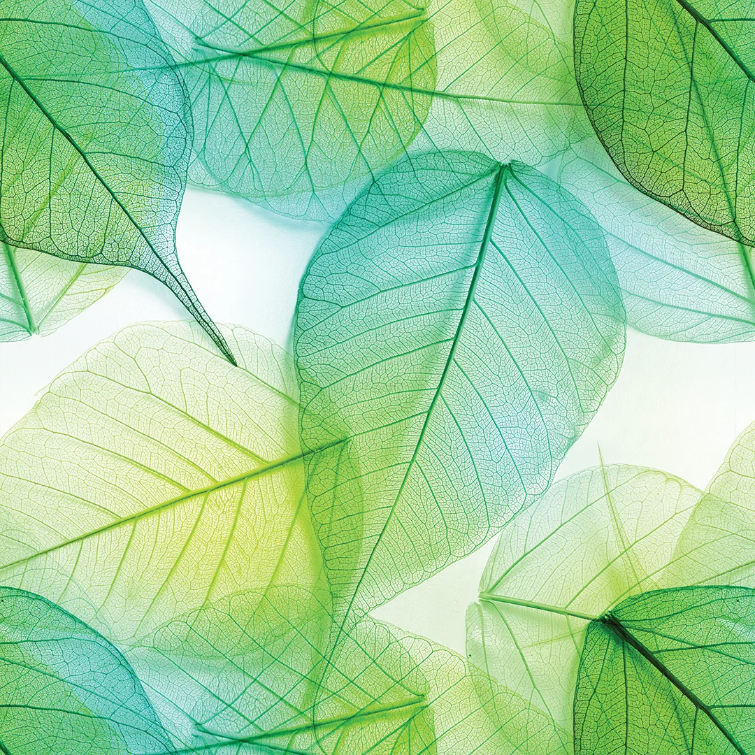 Pastel Veins — Luxury Floral Wallpaper Dubai - Image 3