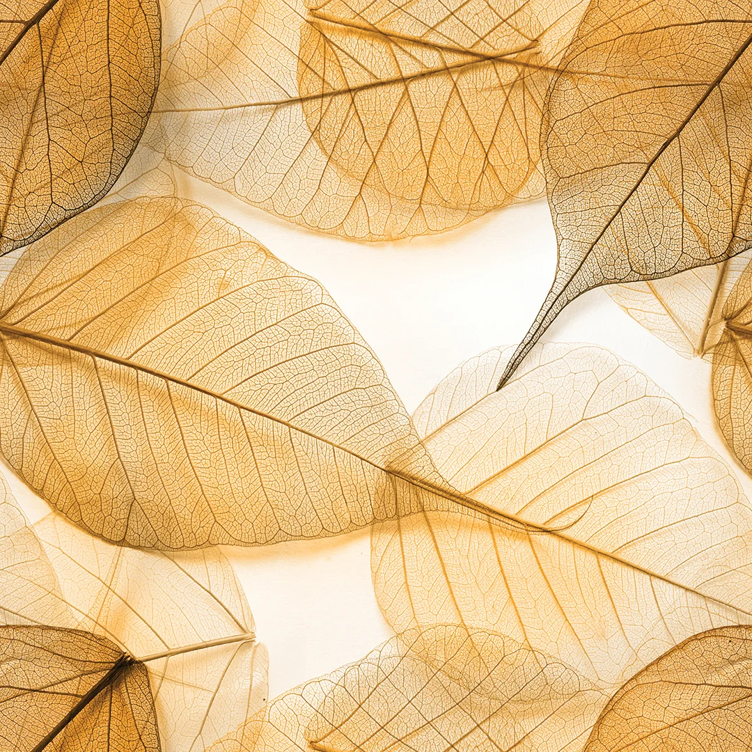 Pastel Veins — Luxury Floral Wallpaper Dubai - Image 4